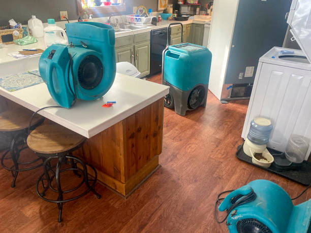 Best Ceiling water damage repair  in Columbia, MD