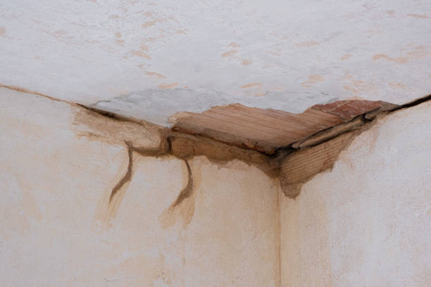 Best 24/7 water damage repair  in Columbia, MD