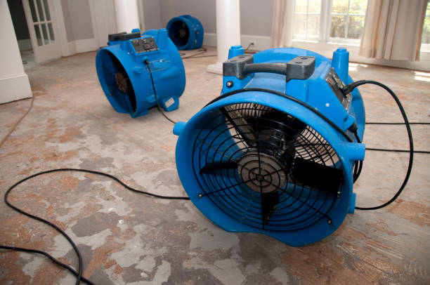 Best Water damage cleanup near me  in Columbia, MD