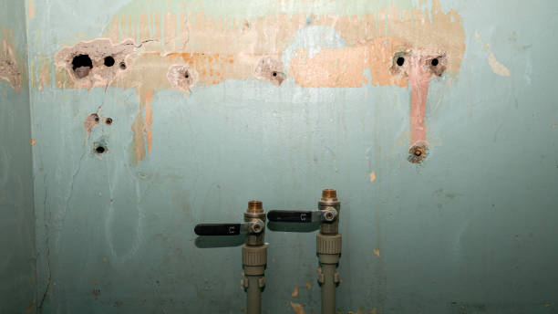 Best Carpet water damage restoration  in Columbia, MD