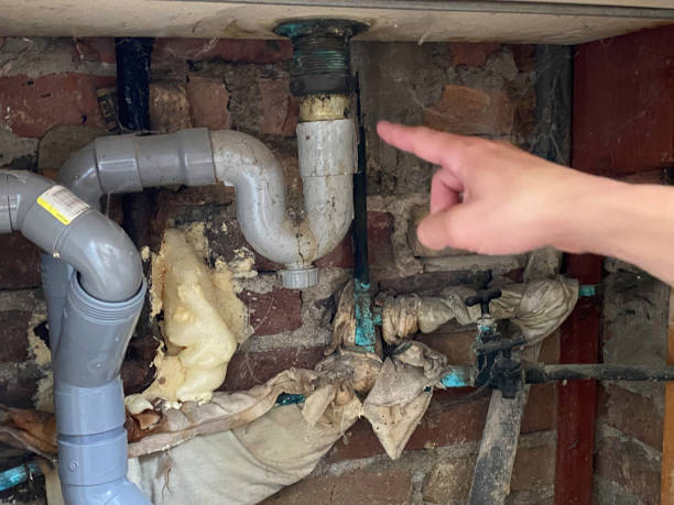 Best Carpet water damage restoration  in Columbia, MD