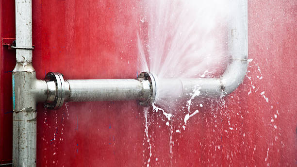 Best Local water damage restoration  in Columbia, MD