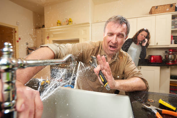 Best Water damage restoration mold remediation  in Columbia, MD